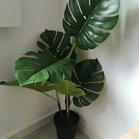 Porta De Sao Bento 아파트