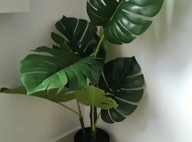 Porta De Sao Bento Апартаменты